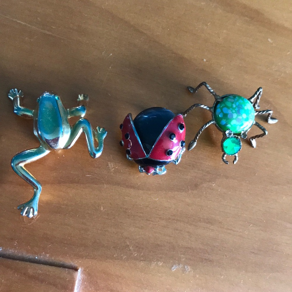 Spider 🕷 frog 🐸 and ladybug 🐞 brooch collection